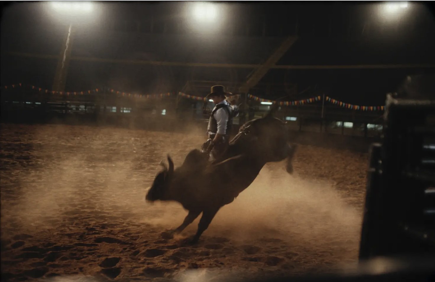 Bull