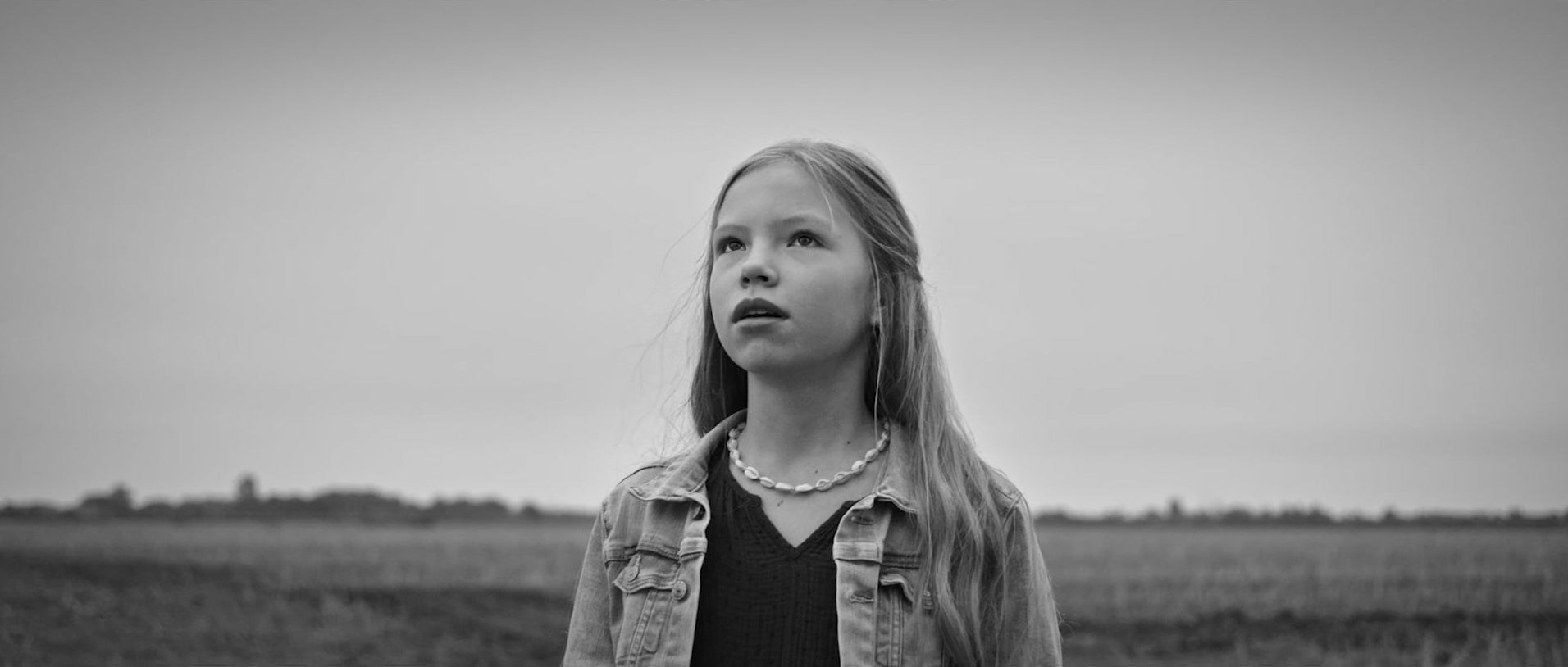 The Girl and The Birds